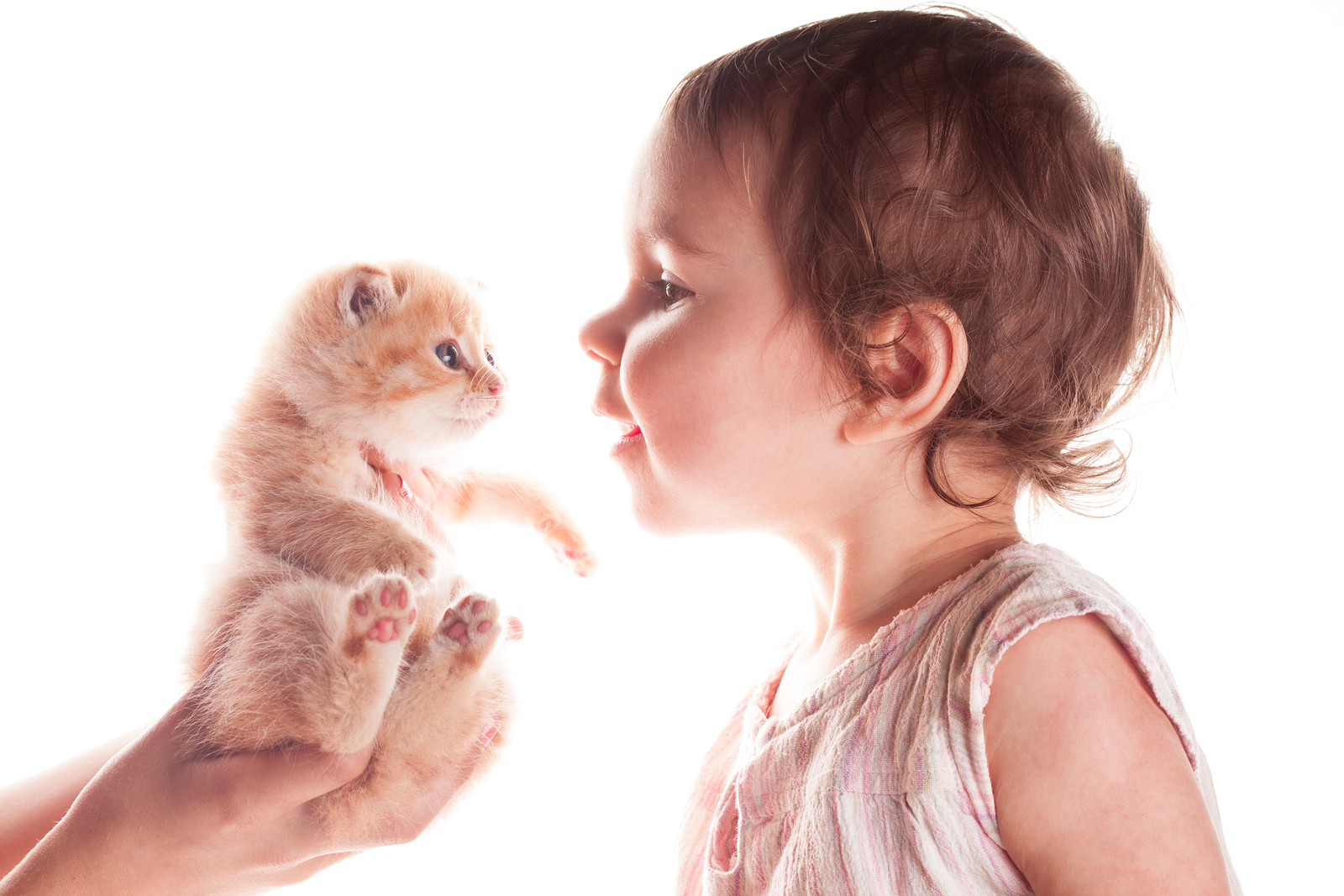 Kids-and-Pets-Headache-or-Heartwarming