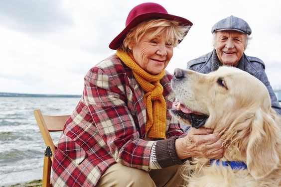 5 Ways Pets Help with Active Ageing