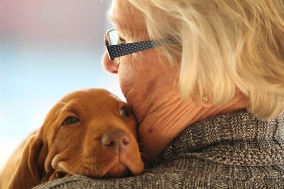 5 Ways Pets Help with Active Ageing