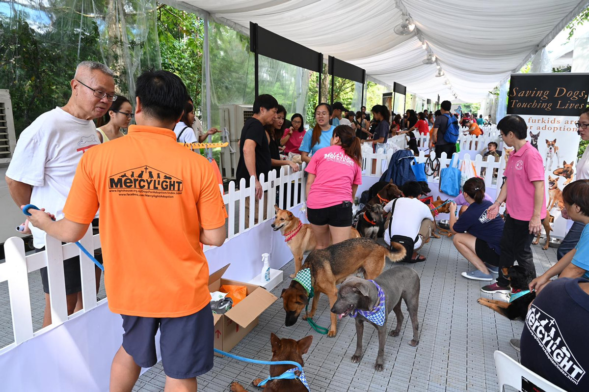 6 Highlights You Missed at NParks’ Inaugural Pets’ Day Out Event
