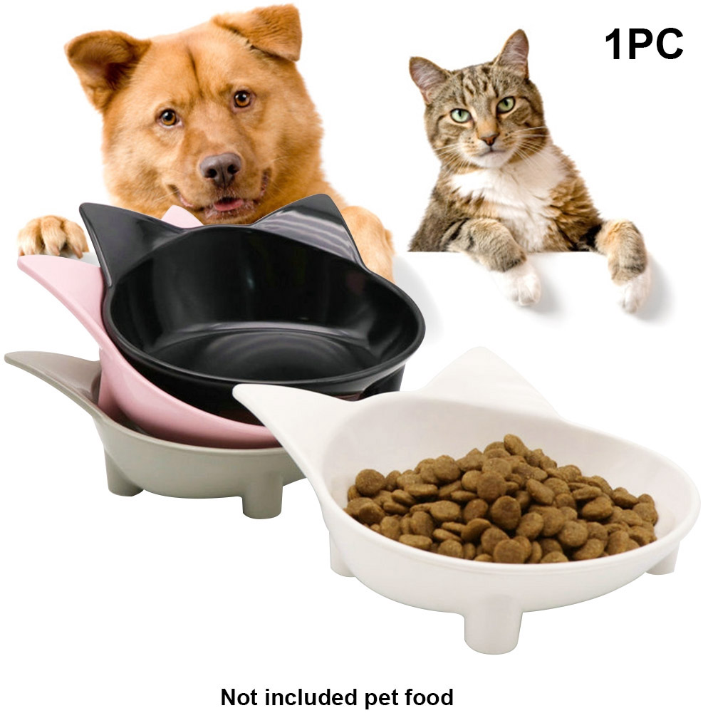 7 Useful Accessories & Items for Pets in Need