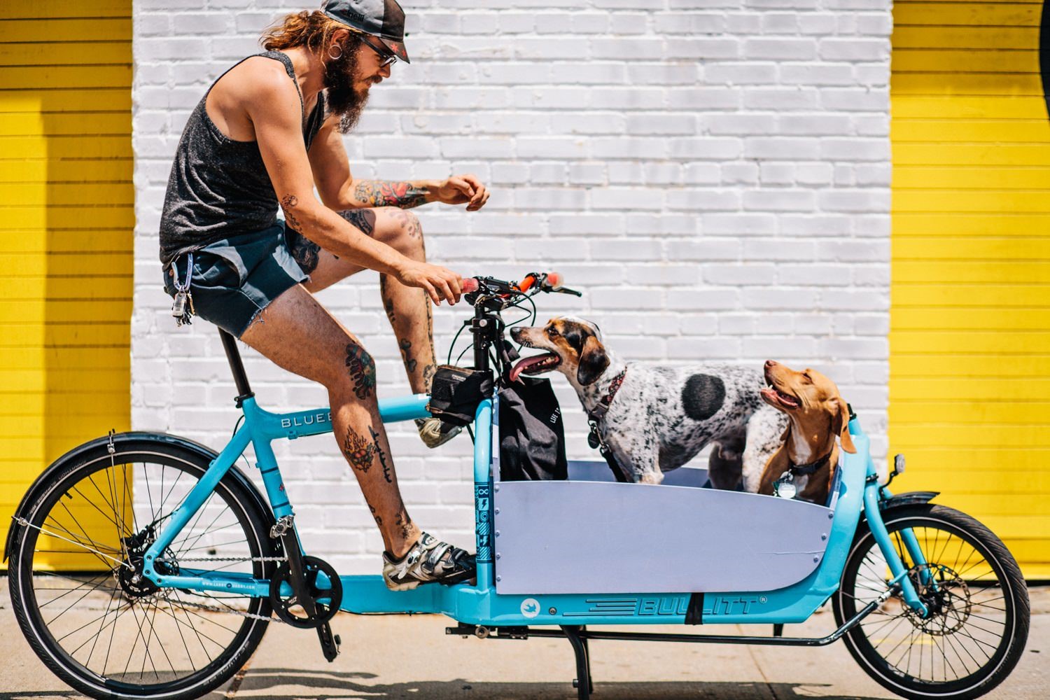 Bike Buddies: A Guide To Cycling With Pets