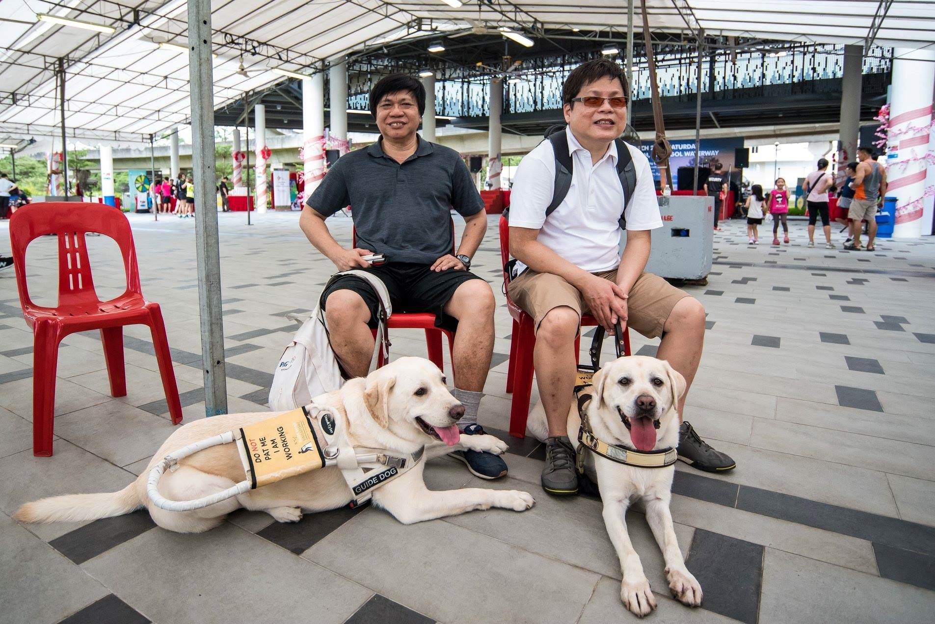 Celebrate International Guide Dog Day (IGDD) with Guide Dogs Singapore