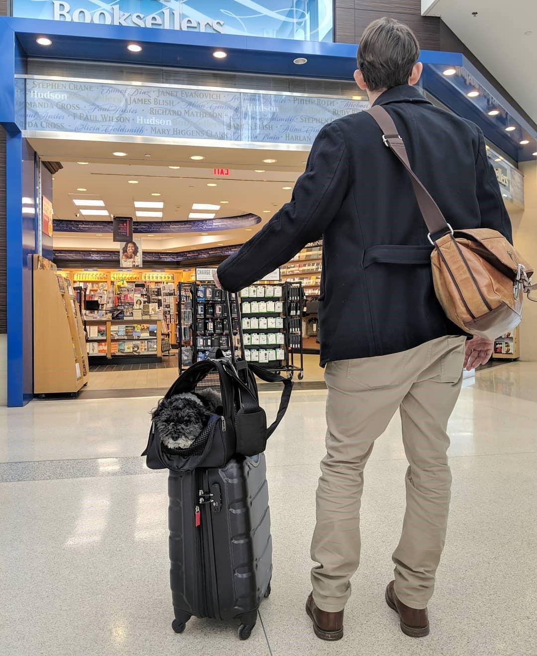 Flying With Pets: What To Know Before You Take Off