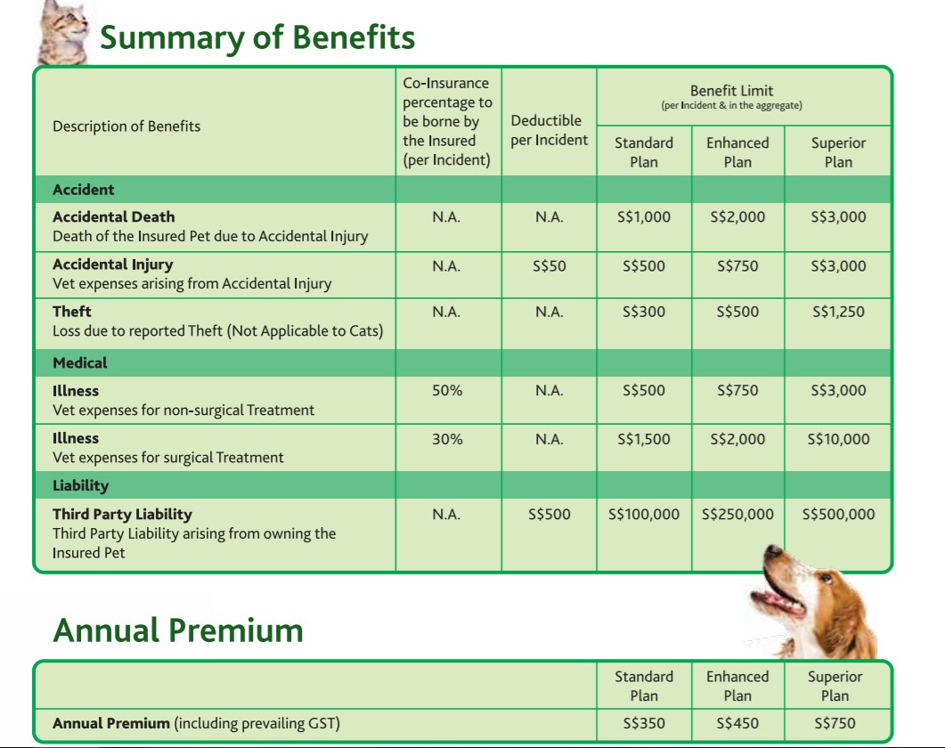 My Paw Pal, PetCare & More: A Guide to Purchasing Pet Insurance in Singapore