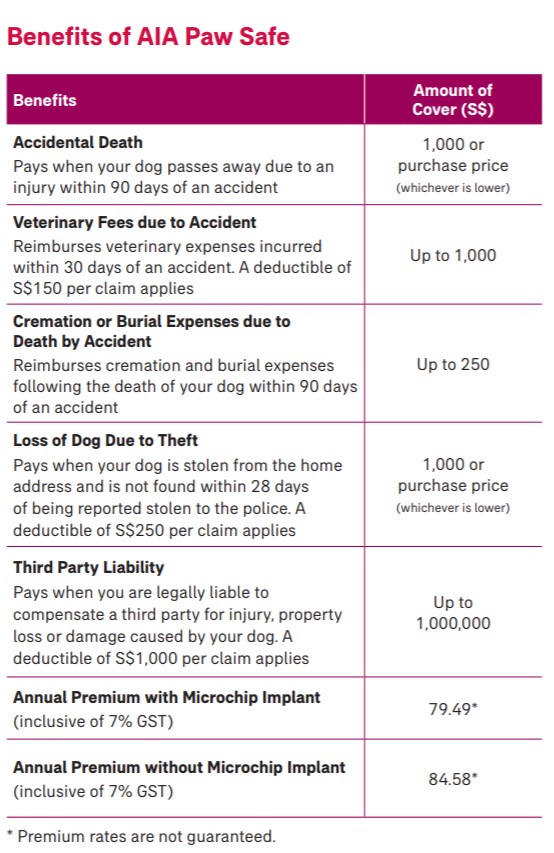 My Paw Pal, PetCare & More: A Guide to Purchasing Pet Insurance in Singapore