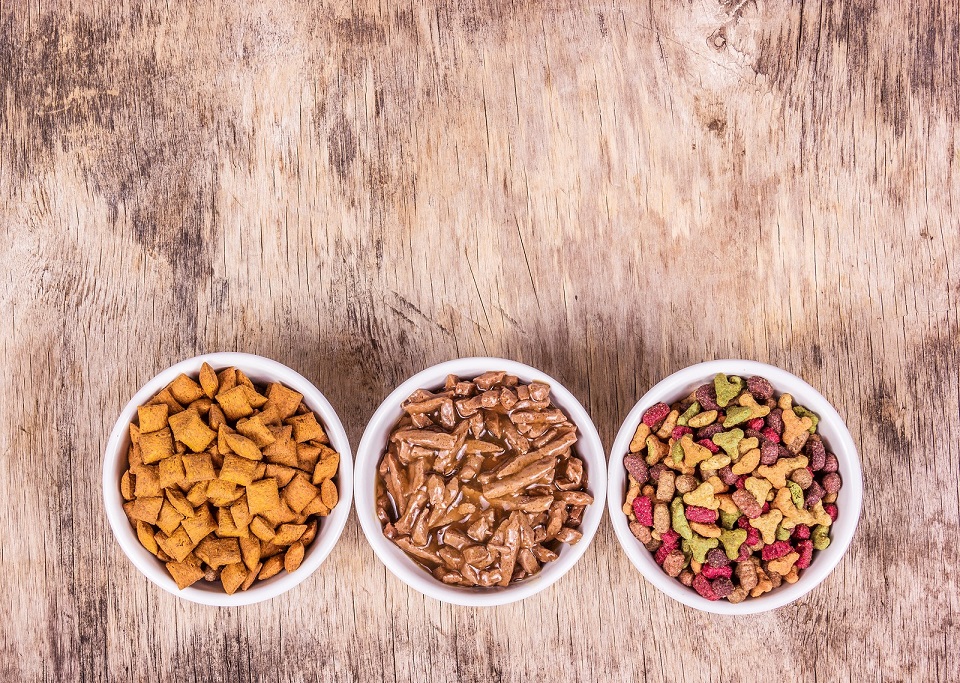 Storage Tips: A Guide to Increasing the Shelf-Life of Pet Food
