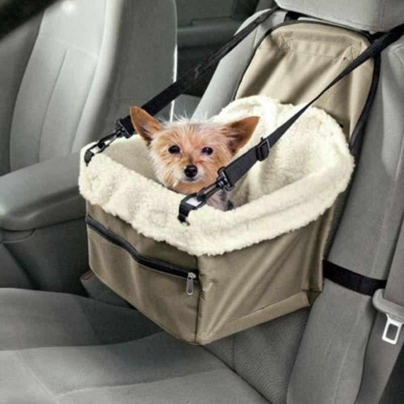 Up for a Road Trip with Your Furkid? Here Are 5 Tips for a Safe Ride