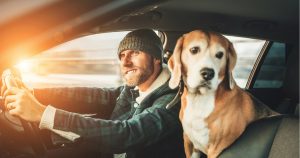 Up for a Road Trip with Your Furkid? Here Are 5 Tips for a Safe Ride