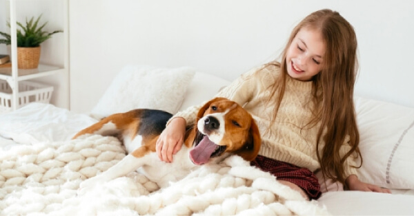 5 Dog Breeds That Are Perfect For Families