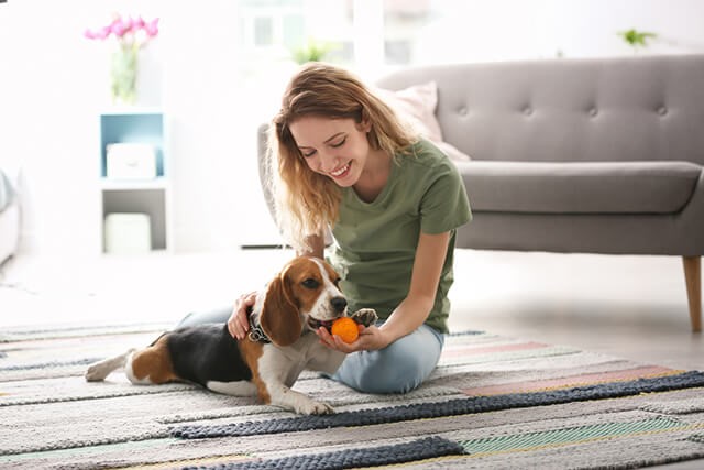 A Guide to Managing Dog Separation Anxiety