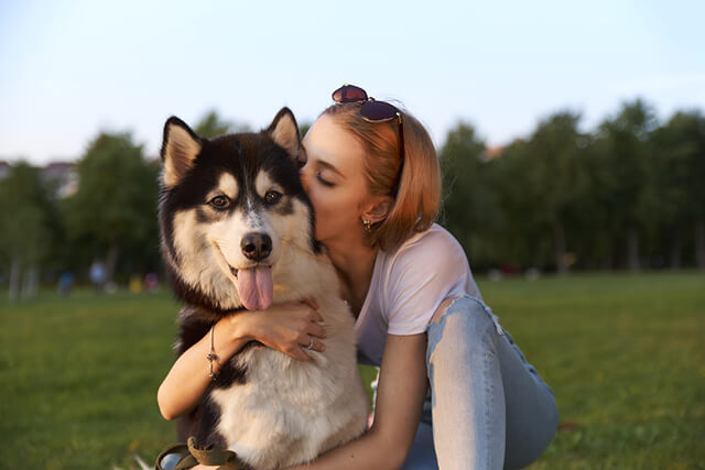 Dog Love Language: 4 Proper Ways to Show Your Dog Affection