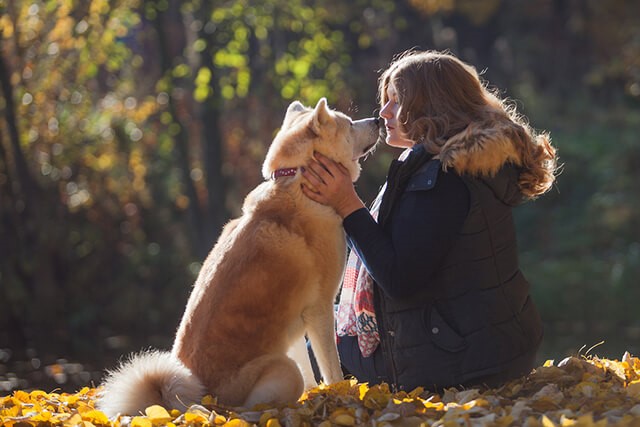 Dog Love Language: 4 Proper Ways to Show Your Dog Affection