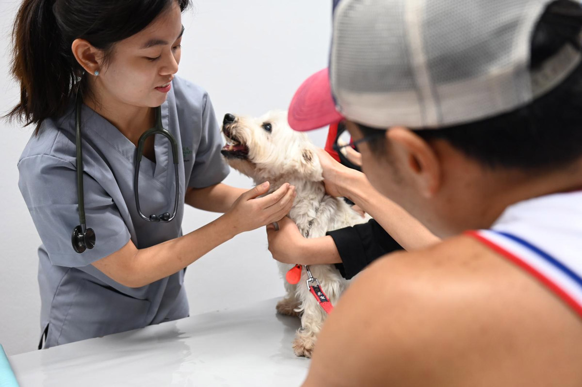 Free Pet Microchipping, Health Checkups & More are Back at NParks’ Pets’ Day Out Event!