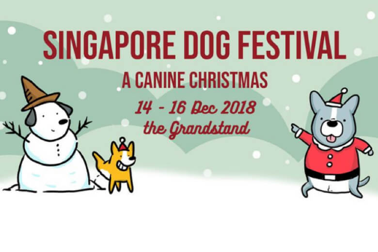 Get in the Pawliday Mood at the Canine Christmas Night Market