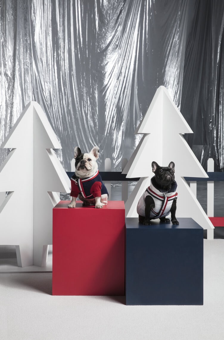 Haute Hound: Put Your Best Paw Forward with Moncler’s Canine Collection