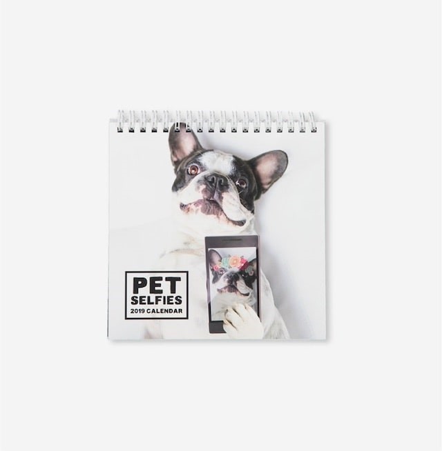 Holy Cuddley Smokes: Pet Calendars to Brighten 2019 with