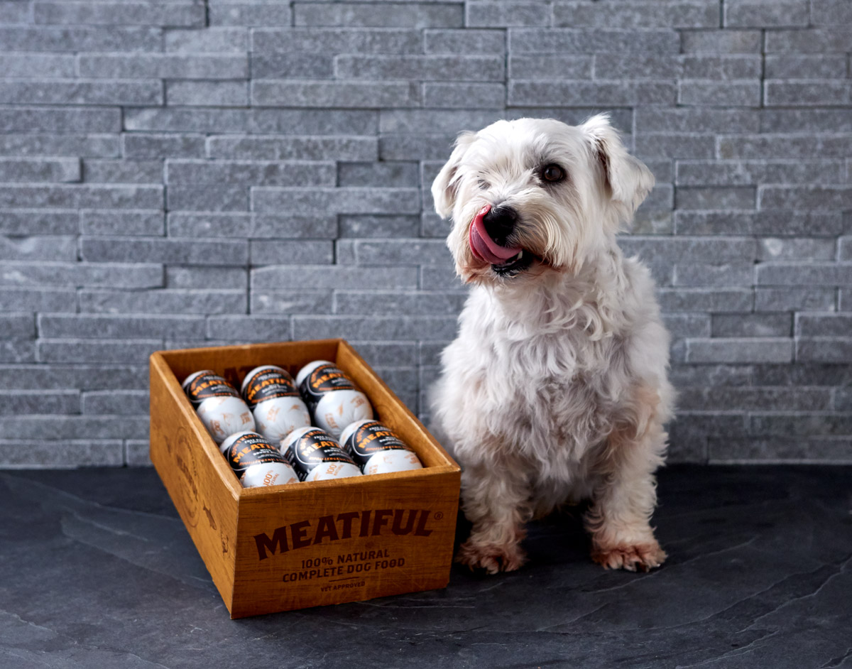 New Year New Diet: 5 Benefits of Wet Food for Dogs