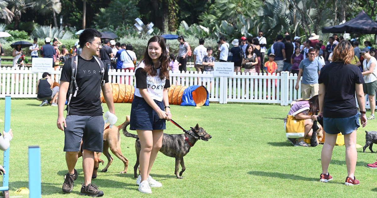 NParks’ Unfurgettable Pets’ Day Out