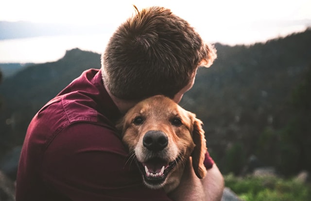  6 Amazing Ways Dogs Make Life Better