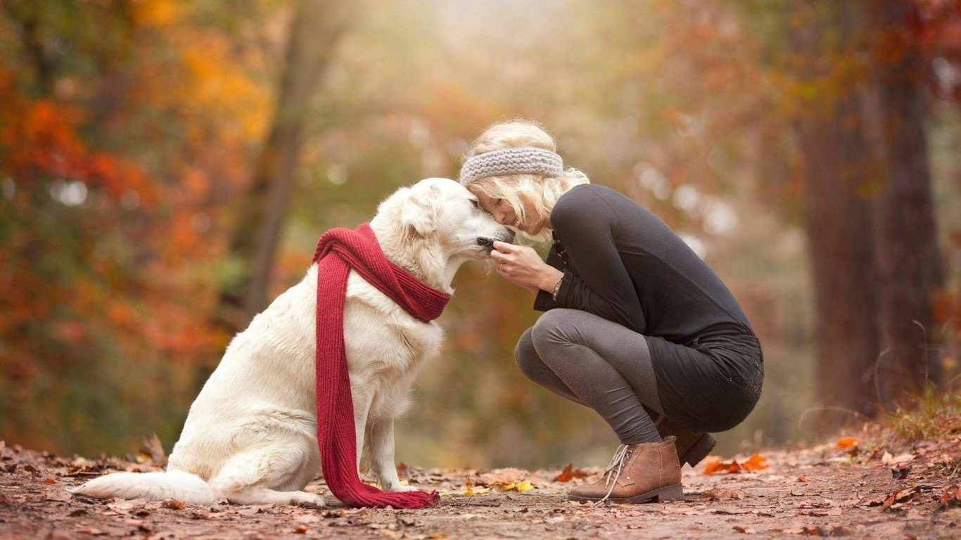  6 Amazing Ways Dogs Make Life Better