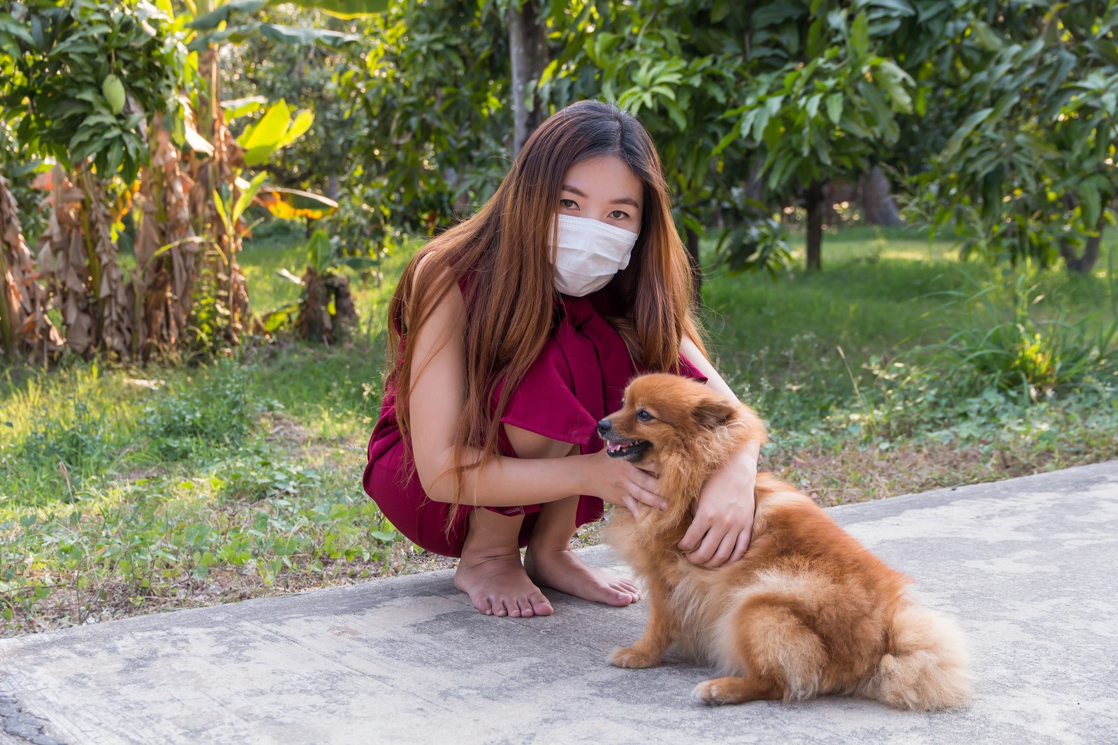 Pet Allergy-Induced Asthma: Causes, Symptoms & Precautions