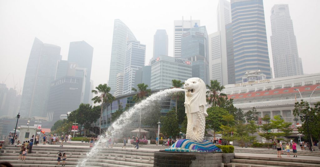 Pet Care Tips For Haze Season in Singapore