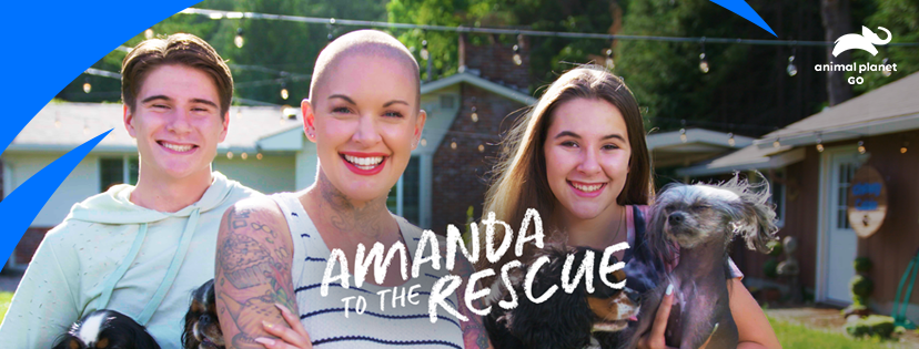 A Conversation With Amanda Giese, Animal Rescuer