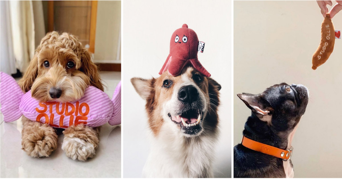 https://b2718726.smushcdn.com/2718726/wp-content/uploads/2020/02/the-importance-of-nose-work-toys-from-woof-living-and-why-your-dog-needs-one-0.jpg?lossy=0&strip=1&webp=1