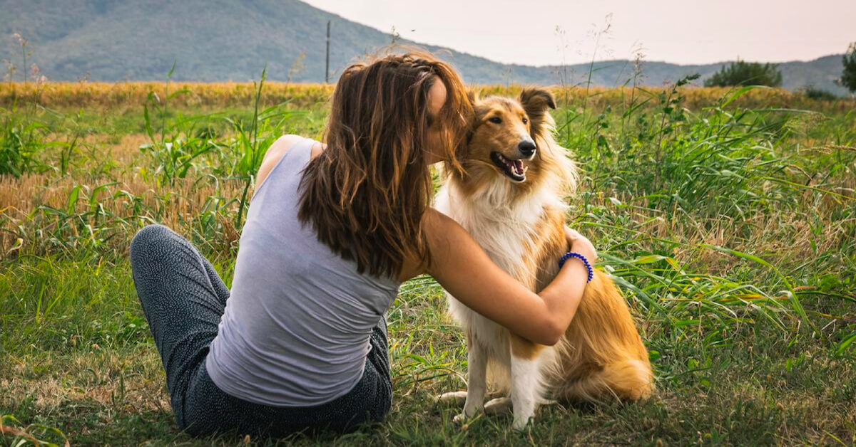 4 Surprising Similarities Between Dogs and Their Owners