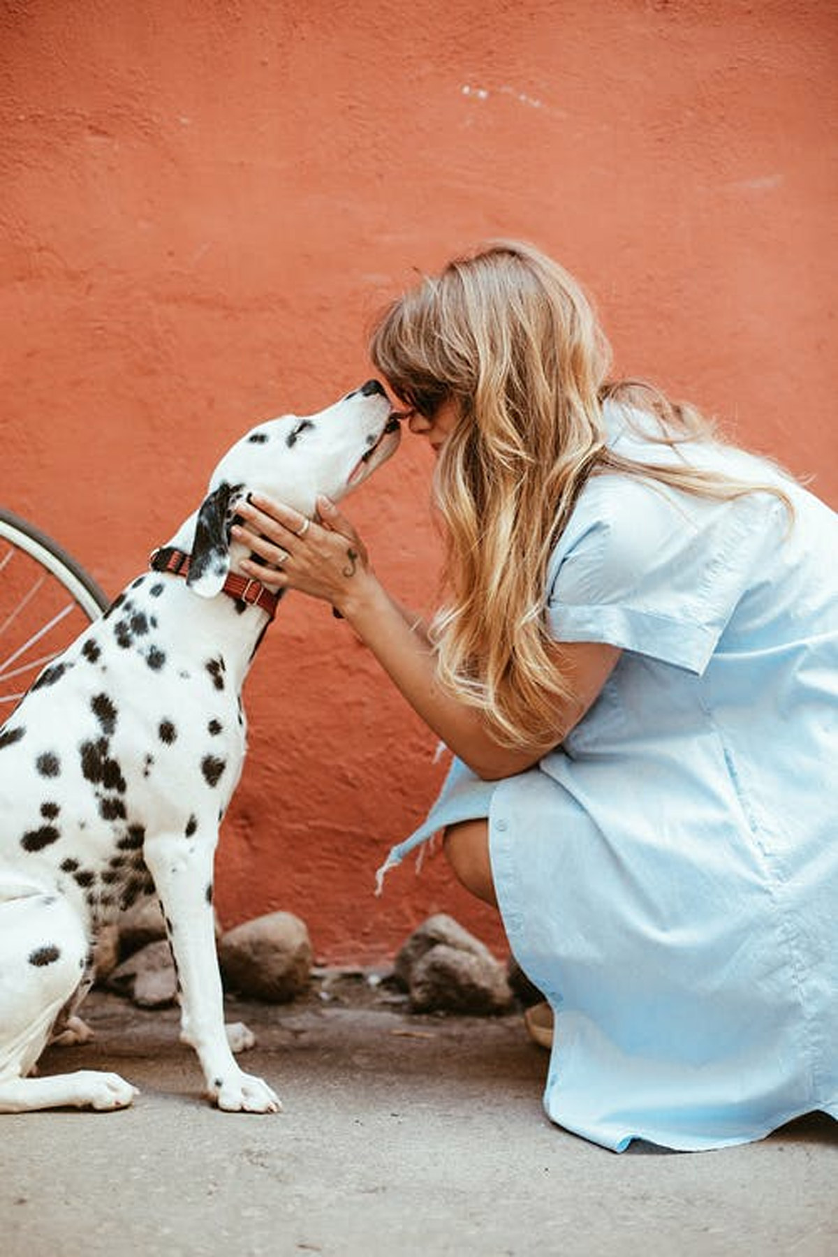 8 Signs That Your Dog Loves You