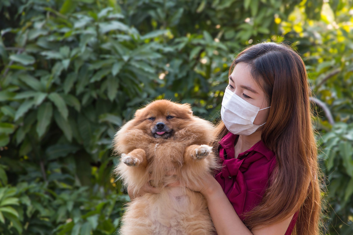 5 Illnesses That Pets Can Contract From Humans