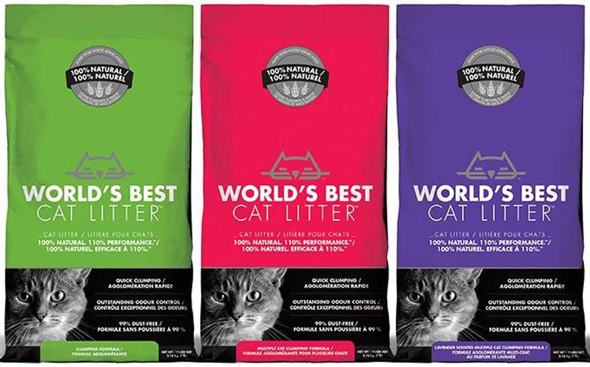 Potential Health Dangers Caused By Cat Litter 