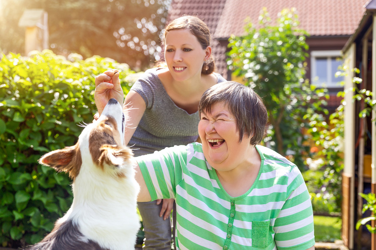 Animal-Assisted Therapy: Benefits & Effectiveness