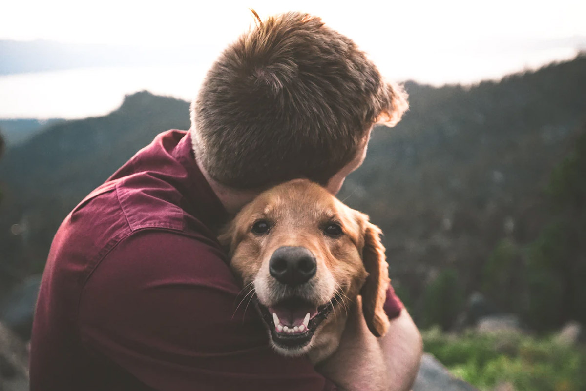 The Hidden Benefits of Owning Pets