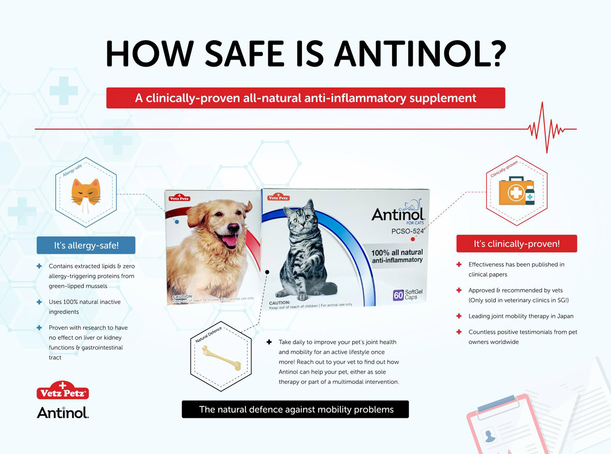 Antinol®: The Joint Supplement for Osteoarthritis