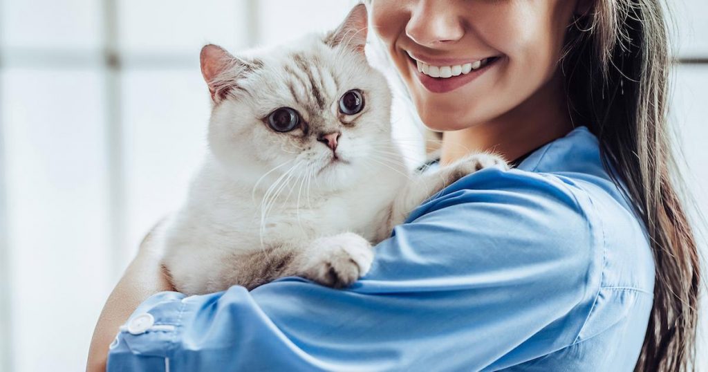 Why Should You Bring Your Healthy Pet to the Vet?