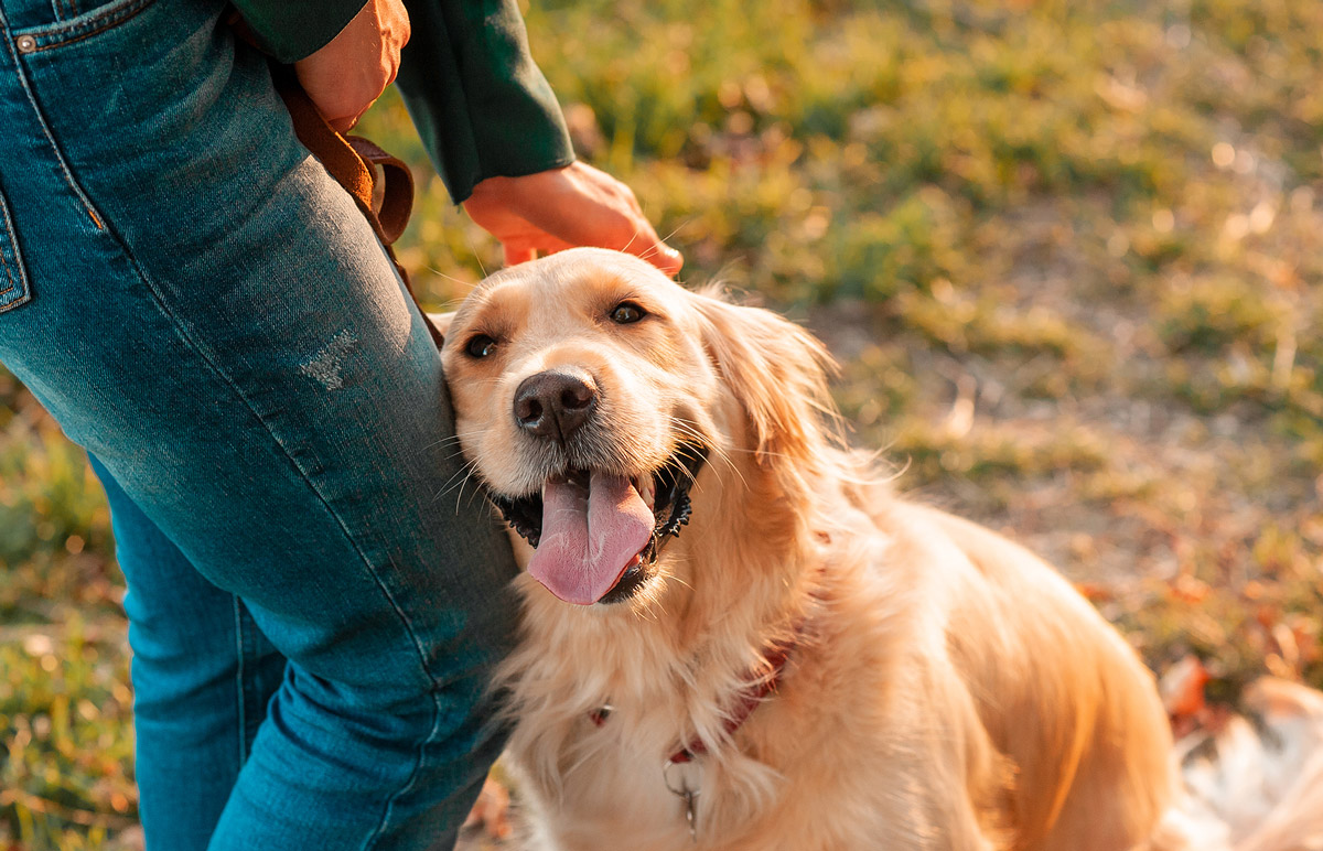 5 Ways Pets Keep Owners Happier & Healthier Than Ever