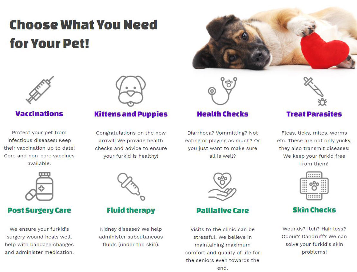 4 Reasons Why You Need to Know Happy Vet, the “Vet-on-Wheels” Mobile Vet Service in Singapore