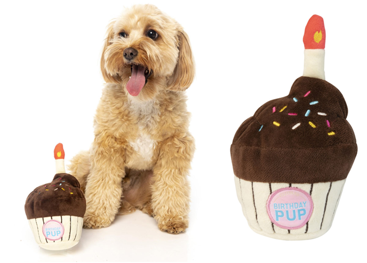 9 Christmas Gift Ideas for Your Dog to Defend Your Title as ‘The Favourite Hooman’!
