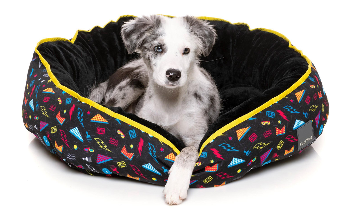 9 Christmas Gift Ideas for Your Dog to Defend Your Title as ‘The Favourite Hooman’!