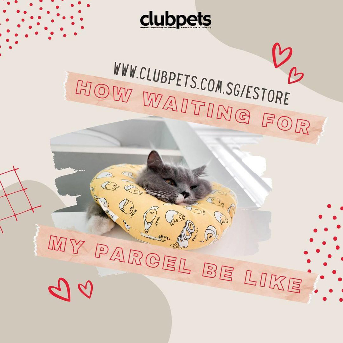 5 Irresistible Perks of Shopping Online at Clubpets’ E-Store for Pet Food, Pet Accessories & More!