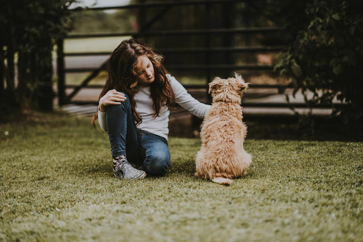 4 Ways To Encourage Positive Behaviour In Your Dog