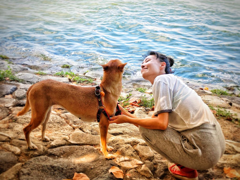 Shelter Dogs: Adopt a Man’s Best Friend Today