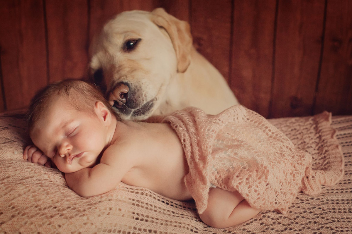 Quality Pup Time With the Family: Dog & Infant