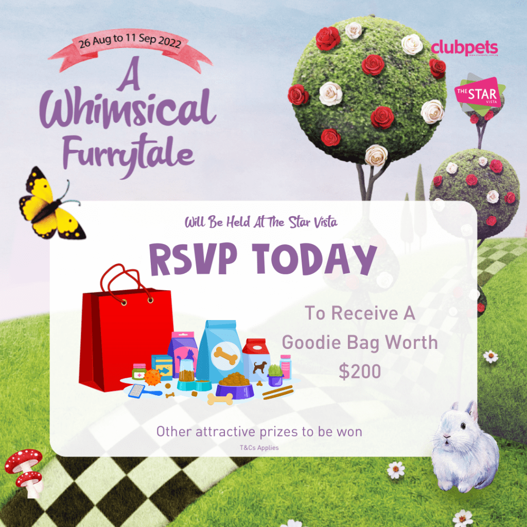 A Whimsical Furrytale by Clubpets x The Star Vista | Pet Show | Pet Event | Pet Expo