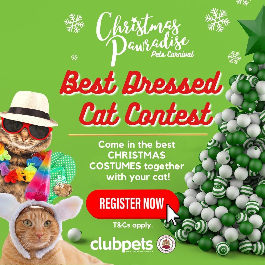 Best Dress Contest for Cat