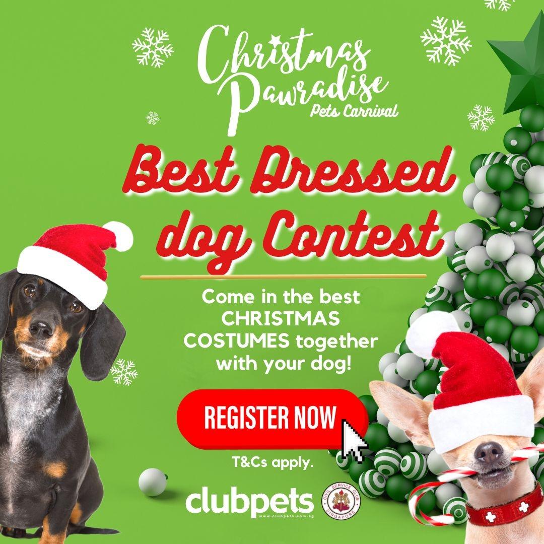 Best Dress Contest for Dog