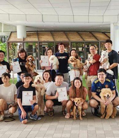 We Trained With Singapore's Renowned Dog Obedience Trainer