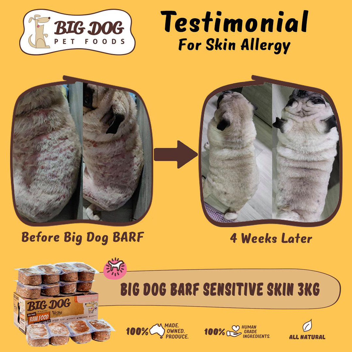 Big Dog Pet Food The Secret To Your Pet’s Glowing Health